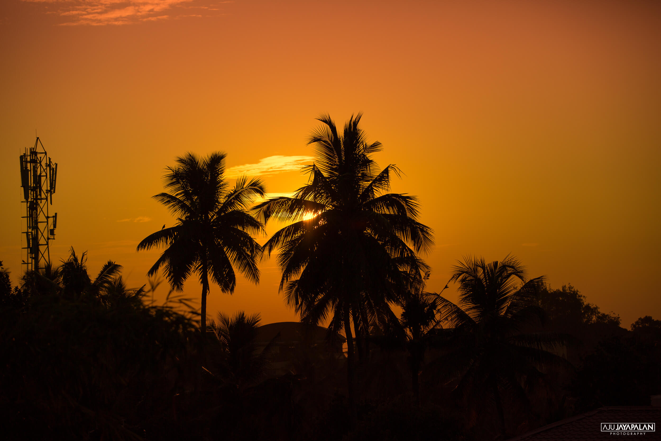 Photograph taken by Aju Jayapalan